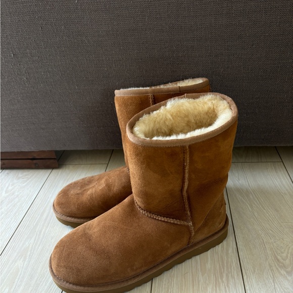 Classic Short Chestnut Uggs - Picture 2 of 4